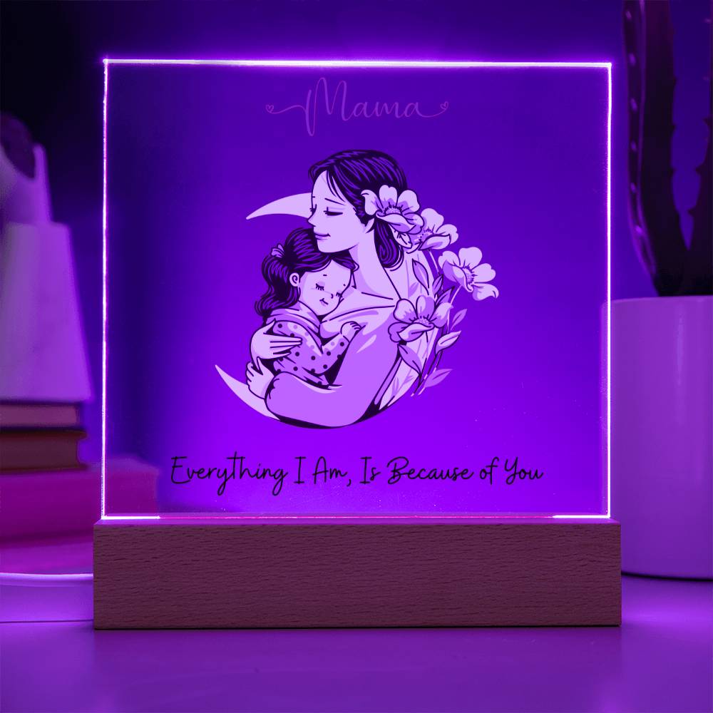 Gift For Mom or Daughter | "My Everything" Acrylic Plaque
